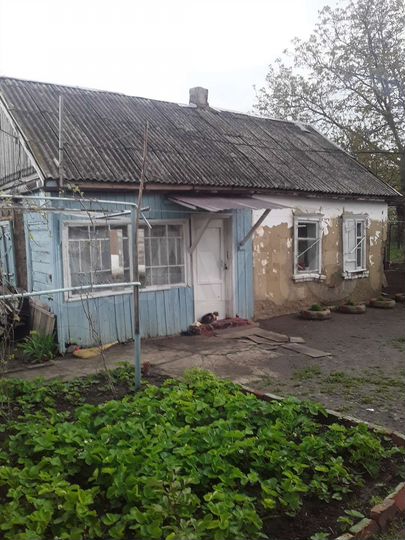 Дом 79,9 м² на участке 25 сот.