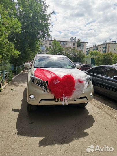 Прокат с водителем, перевозки