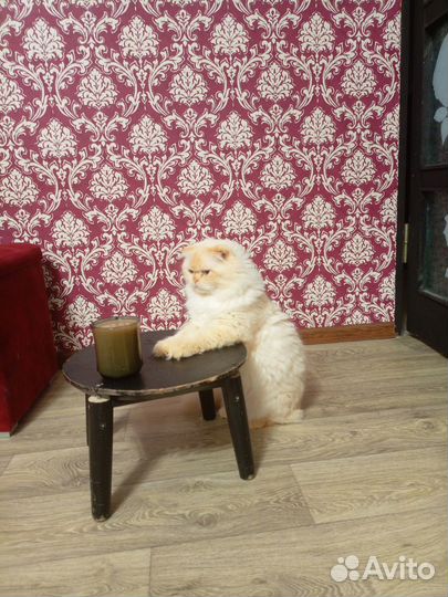 Ищем подружку