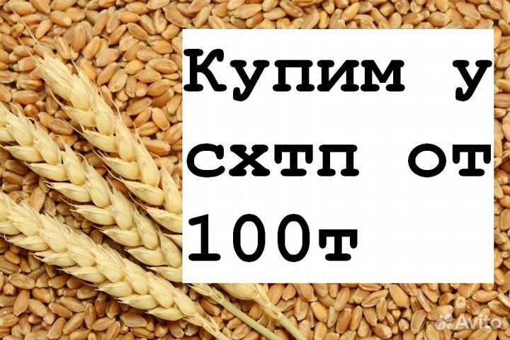 Пшеница 3,4 кл. Ячмень оптом