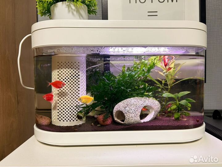 Аквариум xiaomi с рыбками