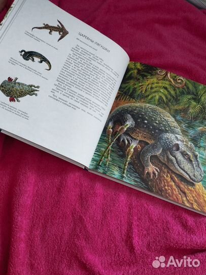Детская энциклопедия животного мира