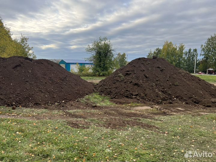 Земля чернозем