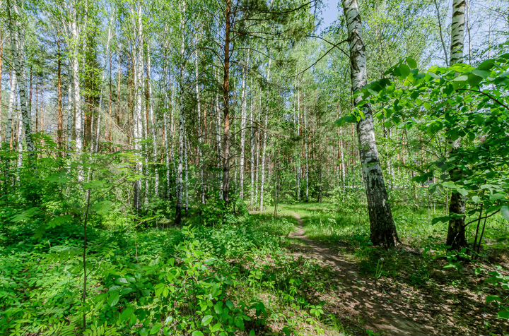 Участок 23 сот. (ИЖС)