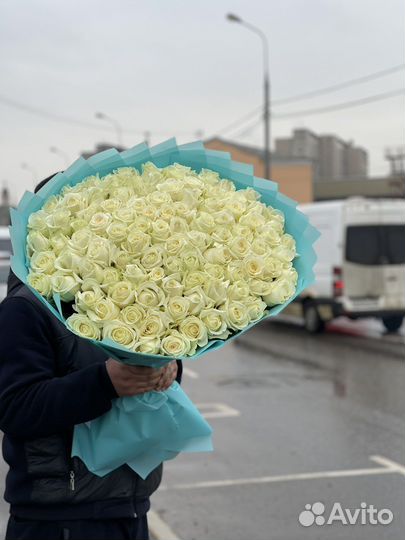 Белая Роза шикарная