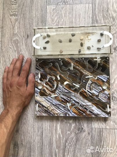 Муравьиная ферма с муравьями