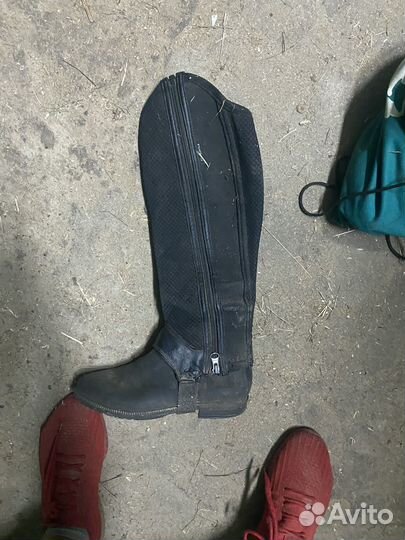 Краги для верховой езды детские