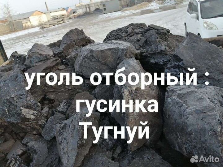 Уголь отборный гусинка, тугнуй