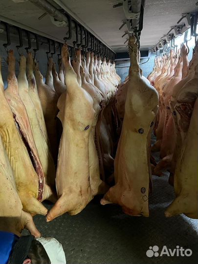 Мясо свинина оптом, полутуши