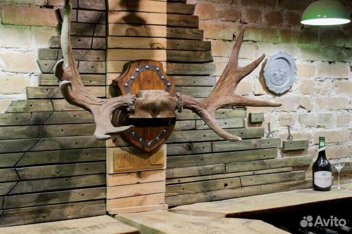 Медальон Рога оленя