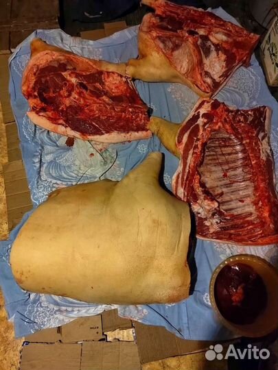 Мясо свинина домашняя, сало