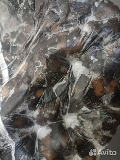 Грибы подосиновики замороженные и сушёные