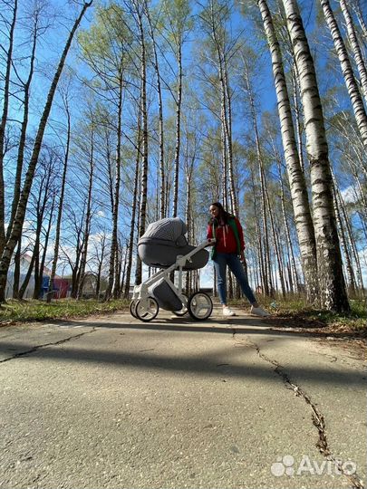 Коляска adamex luciano 2в1