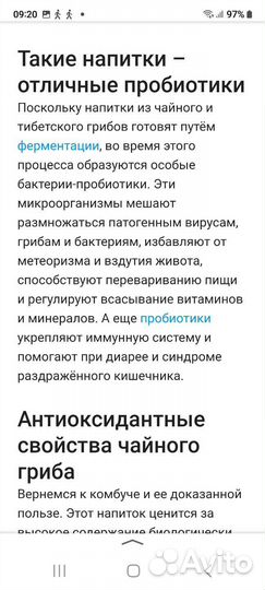 Чайный гриб, Морской рис, Тибецкий молочный гриб