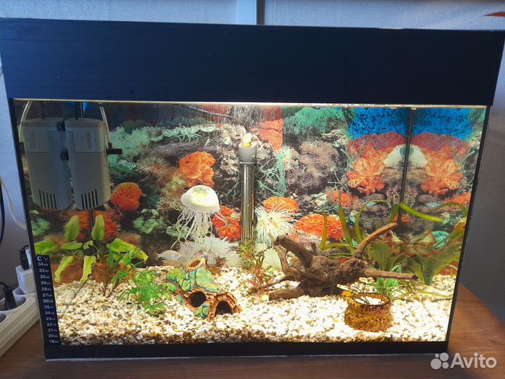 Аквариум