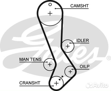 Зубчатый ремень привода грм powergrip