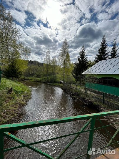 Готовый шашлык, доставка