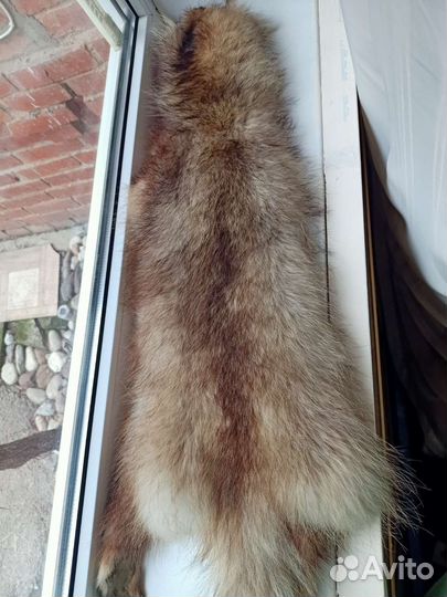 Шкура енота