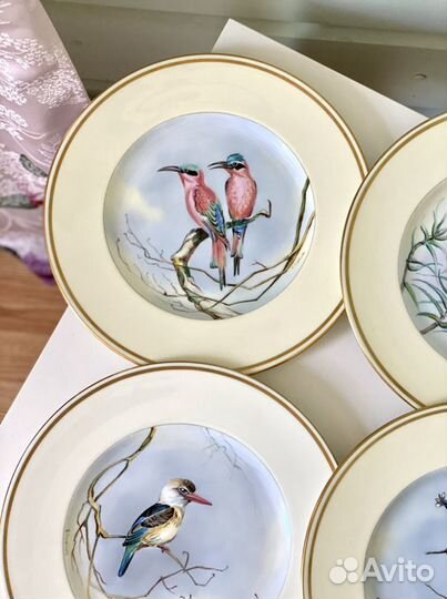 Wedgwood тарелки с птицами, ручная роспись, Англия