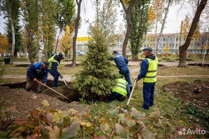 Разнорабочие. Демонтаж, земельные работы