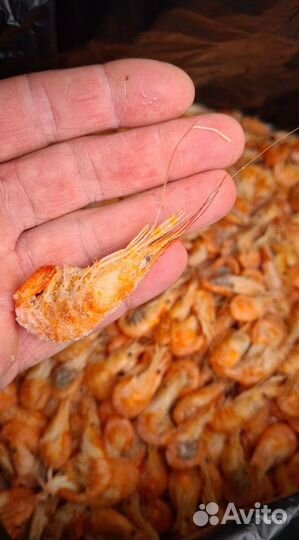 Креветка азовская с доставкой