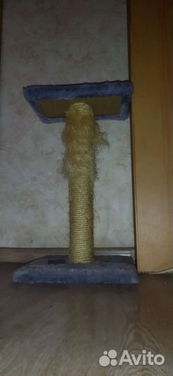 Когтеточка