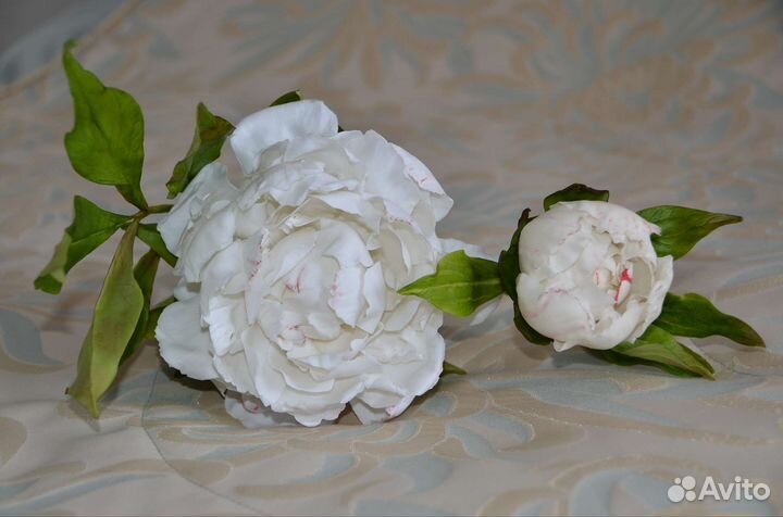 Пионы букет