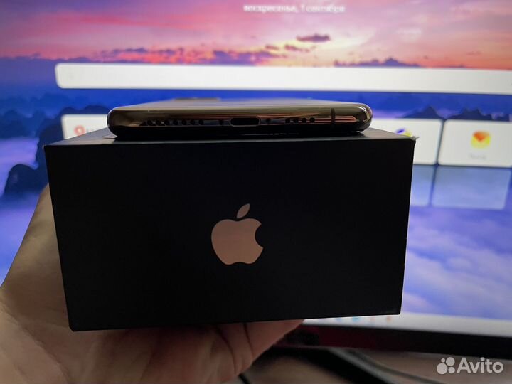 iPhone 11 Pro Max, 256 ГБ