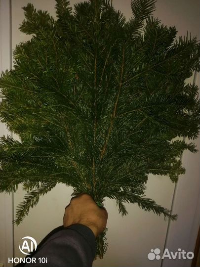 Веник пихтовый