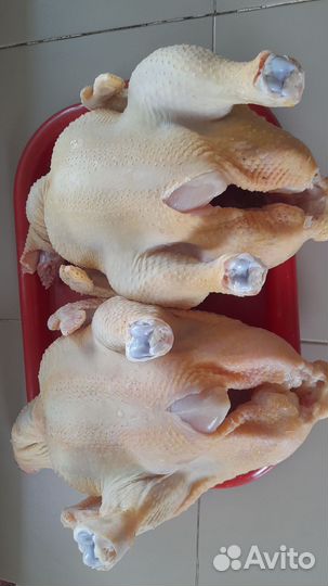 Мясо домашнего бройлера