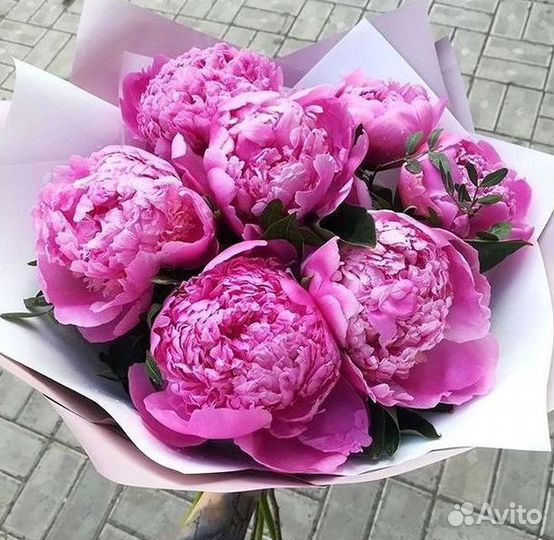 Пионы Букет пионов