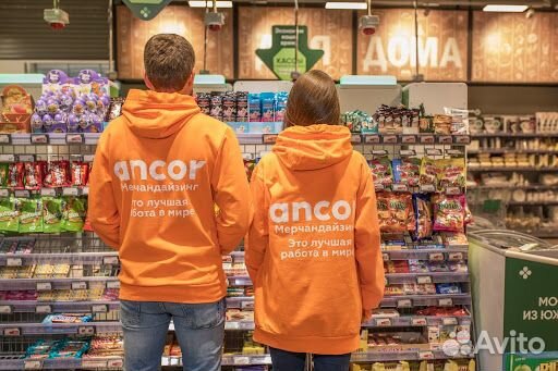 Мерчандайзер (Каширское шоссе, подработка)