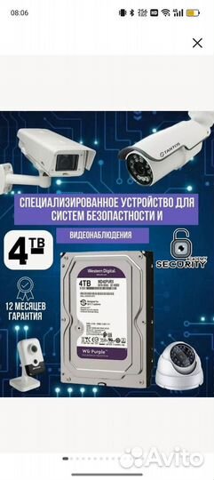 Wd purple 4tb