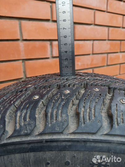 Nexen Winguard 231 195/55 R15 85T