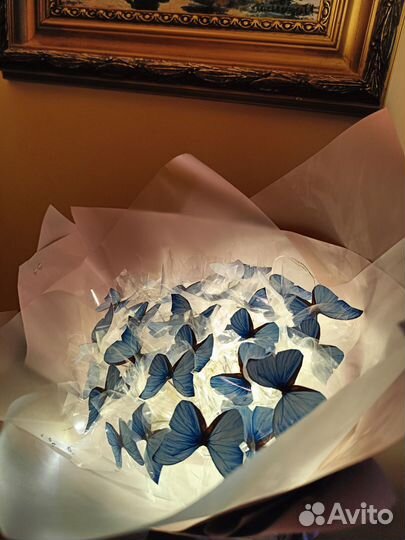 Букет из бабочек