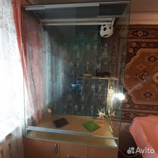 Террариум для хамелеона