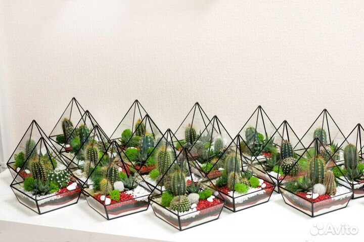 Корпоративные подарки. Флорариум