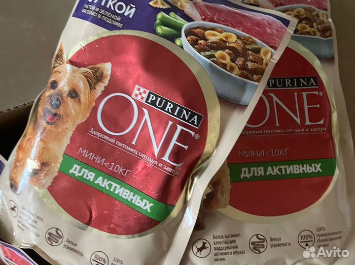 Корм для собак 