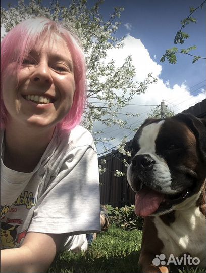 Кинолог, зоопсихолог