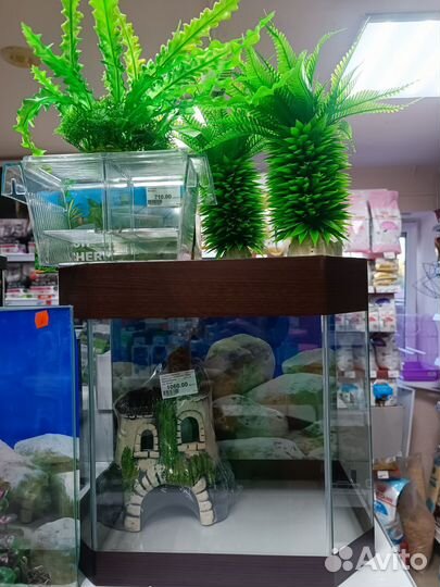 Растения для аквариума, декор для аквариума