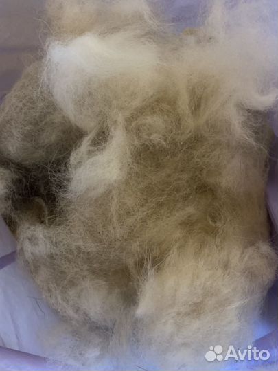 Собачья шерсть (Аляскинский маламут)