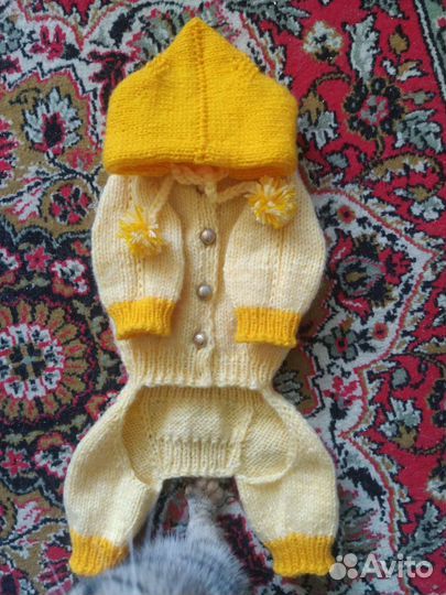 Костюм для собачки