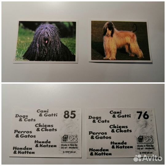 Наклейки Кошки и собаки DS 1997
