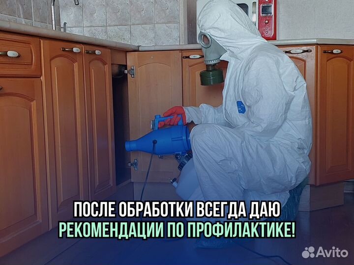 Дезинфекция. Обработка от клещей