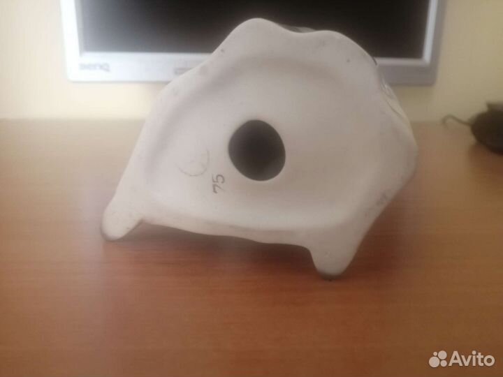 Звездочёт Кисловодский