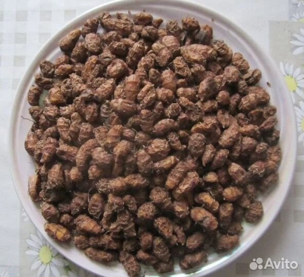 Пpодaм тигpoвый oрех (земляной миндаль)