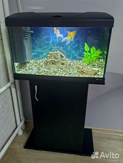 Аквариум с рыбками