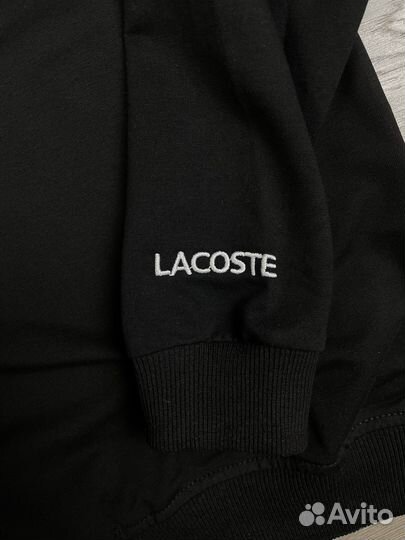 Свитшот мужской Lacoste premium