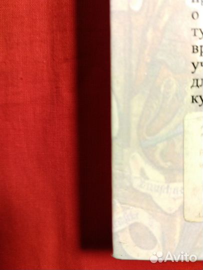 Рыцарство от древней Германии до Франции