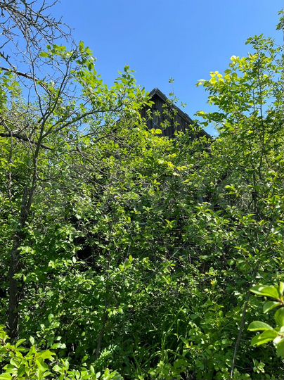 Участок 6 сот. (СНТ, ДНП)